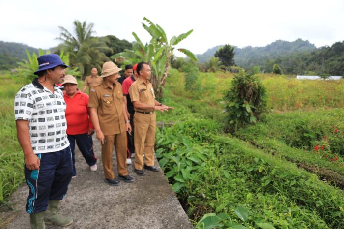 Cabai Merah dan Beras mengalami Kenaikan, Pj Bupati Jendrika Tinjau Ketersedian&nbsp;Stok
